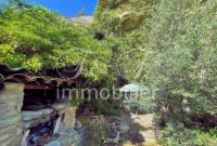 Charming house with garden in Saignon